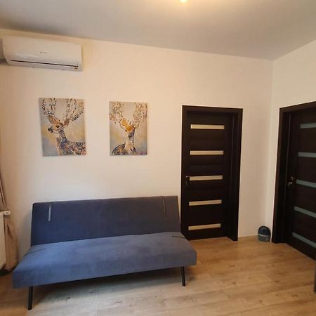 بوخارست Casa Florescu 13 المظهر الخارجي الصورة